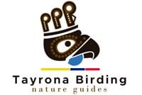 Tayrona Birding